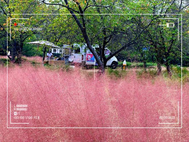 本周单休？没关系！我粉粉粉上了韶关这条线(图2)