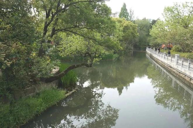 跟着地图去打卡｜上海第一座区级体育场馆——普陀体育馆(图10)
