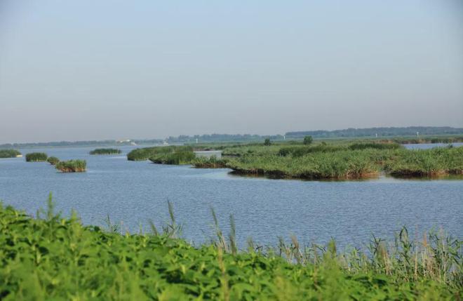 完美体育网站：盘点明后3℃！天津即将启动！一批省钱新政！好消息还有……(图6)