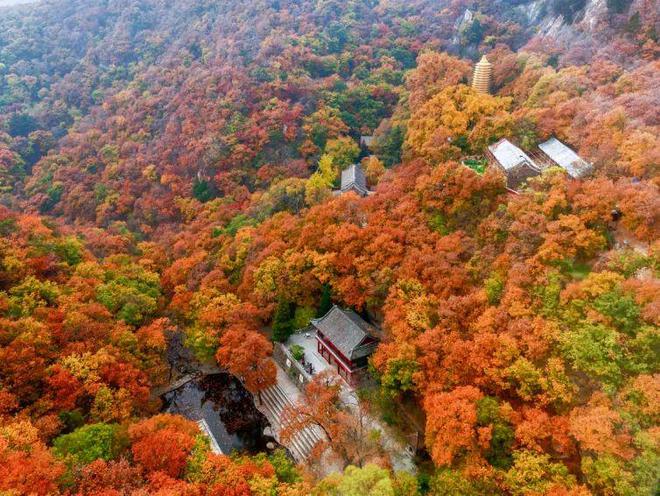 完美体育网站：盘点明后3℃！天津即将启动！一批省钱新政！好消息还有……(图18)