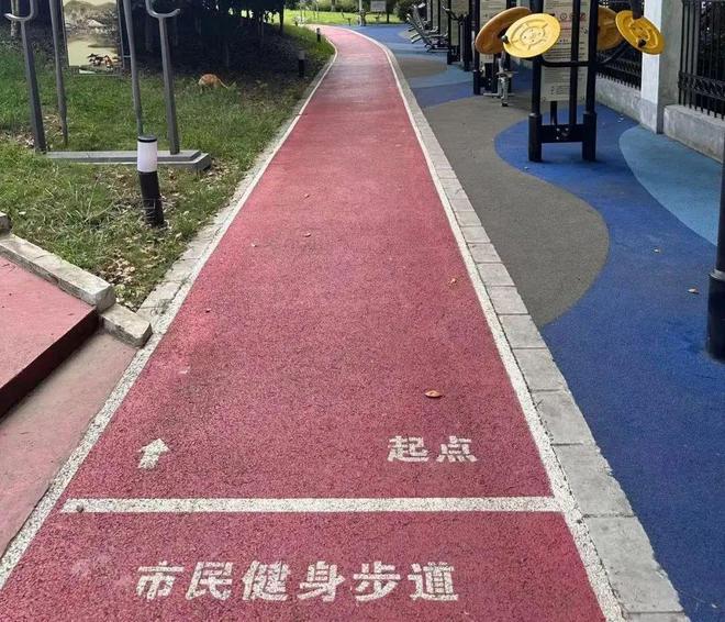 完美体育用品有限公司：家门口的好去处再“上新”！2024年闵行建设了68个……(图11)