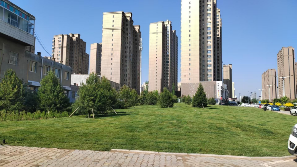 陕西榆林：一城“净”绘幸福景(图13)