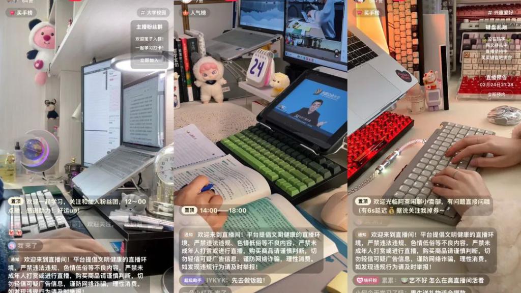 完美体育网站：年轻人撑起“独居经济”七大新赛道(图3)