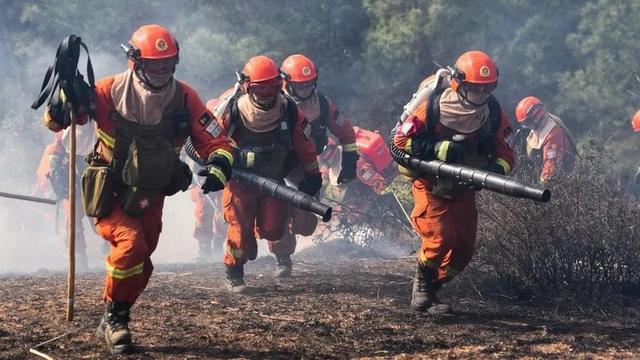 武警森林部队改制后组建了哪9个森林消防总队3个支队啥作用？(图2)