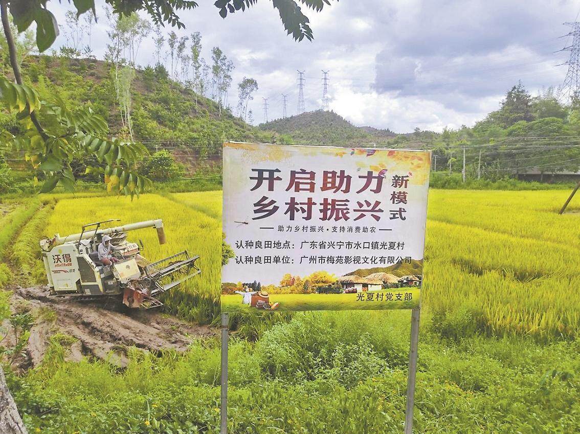 梅苑影业：从银幕到田野助力乡村振兴与文化传播(图1)