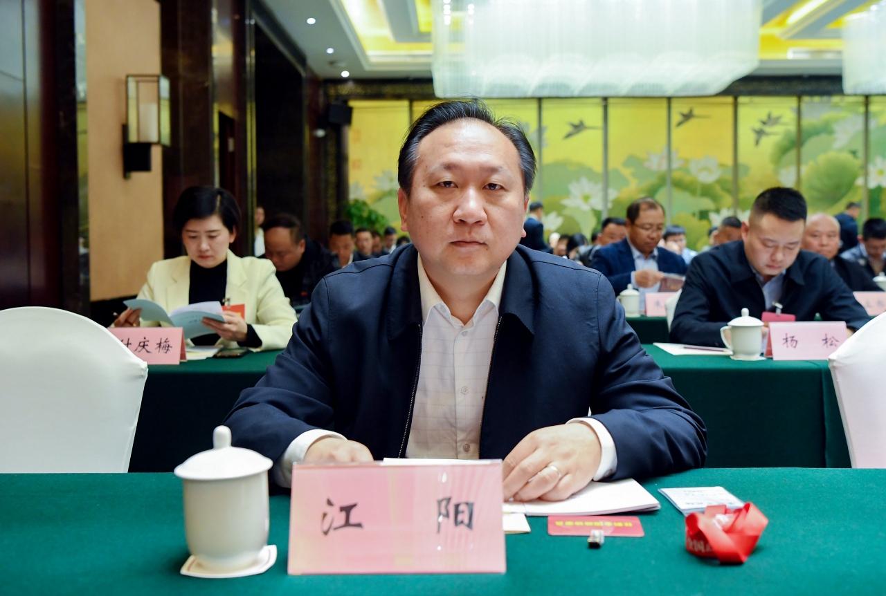 中国算力加速度！2025全国两会琼冀黔宁党报联动对话(图12)