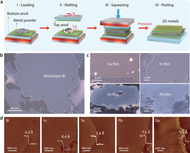 创新中国攀高向新——二〇二五年我国重大科技成果盘点丨人民日报丨2025年终盘点(图1)