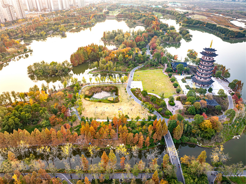 湖南湘江新區：把城市“種”進公園裡(图5)