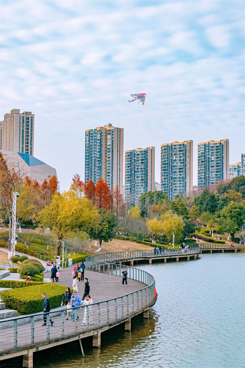 湖南湘江新區：把城市“種”進公園裡(图6)