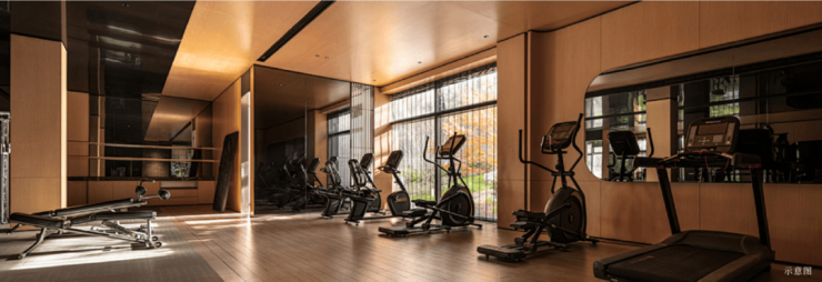 苏州吴江太湖新城蓝城丹枫云庐楼盘-蓝城丹枫云庐详情全解析：宋风藏品、大师定制与限购放开下的收藏机遇(图3)