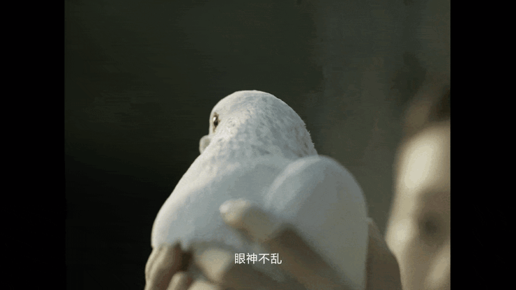 年度微电影《定神》首映：一场关于传统文化传承的当代哲思(图6)